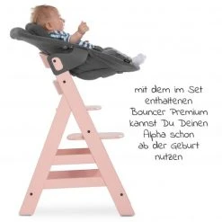 Hauck Alpha Plus Rose Newborn Set - 4-tlg. Hochstuhl + Aufsatz & Wippe Premium (verstellbar) Jersey Charcoal + Sitzpolster -Wohnen & Schlafen Verkäufe hauck alpha plus rose newborn set 4 tlg hochstuhl aufsatz wippe premium verstellbar jersey charcoal sitzpolster 661314 661604 667033 d4
