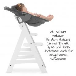 Hauck Bouncer 2in1 Premium (verstellbarer Neugeborenenaufsatz & Wippe) für Alpha & Beta Hochstuhl - Jersey Charcoal -Wohnen & Schlafen Verkäufe hauck bouncer 2in1 premium verstellbarer neugeborenenaufsatz wippe fur alpha beta hochstuhl jersey charcoal 661604 d3