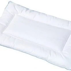 Julius Zöllner Kissen Hygiena 40 x 60 cm