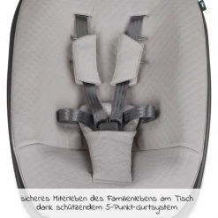 Moji Neugeborenenaufsatz inkl. Bezug, Matratze, Gurtsystem für Yippy Hochstuhl - Birch -Wohnen & Schlafen Verkäufe moji neugeborenenaufsatz inkl bezug matratze gurtsystem fur yippy hochstuhl birch 12003332214 d2