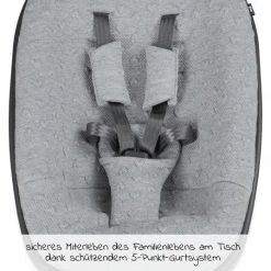 Moji Neugeborenenaufsatz inkl. Bezug, Matratze, Gurtsystem für Yippy Hochstuhl - Heart 8 Moji Neugeborenenaufsatz inkl. Bezug, Matratze, Gurtsystem für Yippy Hochstuhl - Heart -Wohnen & Schlafen Verkäufe moji neugeborenenaufsatz inkl bezug matratze gurtsystem fur yippy hochstuhl heart 12003332016 d2