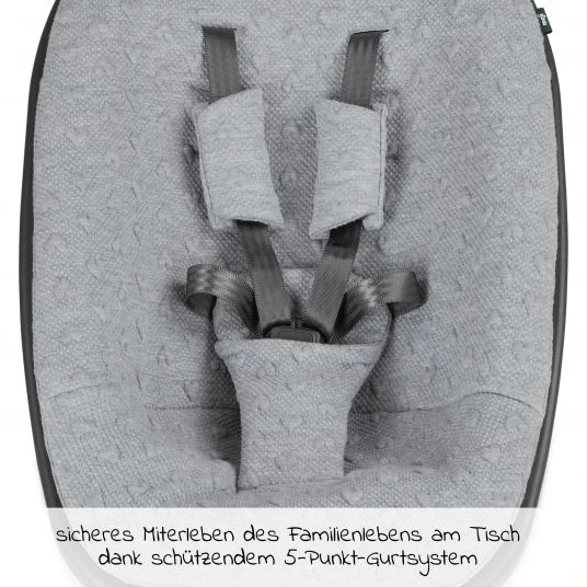 Moji Neugeborenenaufsatz inkl. Bezug, Matratze, Gurtsystem für Yippy Hochstuhl - Heart 3 Moji Neugeborenenaufsatz inkl. Bezug, Matratze, Gurtsystem für Yippy Hochstuhl - Heart – Bild 3