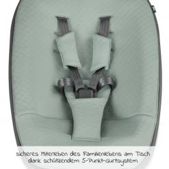 Moji Neugeborenenaufsatz inkl. Bezug, Matratze, Gurtsystem für Yippy Hochstuhl - Mint 8 Moji Neugeborenenaufsatz inkl. Bezug, Matratze, Gurtsystem für Yippy Hochstuhl - Mint -Wohnen & Schlafen Verkäufe moji neugeborenenaufsatz inkl bezug matratze gurtsystem fur yippy hochstuhl mint 12003332213 d2