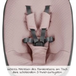 Moji Neugeborenenaufsatz inkl. Bezug, Matratze, Gurtsystem für Yippy Hochstuhl - Rose Gold 8 Moji Neugeborenenaufsatz inkl. Bezug, Matratze, Gurtsystem für Yippy Hochstuhl - Rose Gold -Wohnen & Schlafen Verkäufe moji neugeborenenaufsatz inkl bezug matratze gurtsystem fur yippy hochstuhl rose gold 12003332004 d2